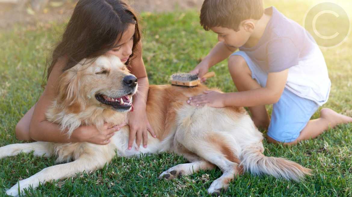 Top 10 Greatest Outdoor Activities that Kids Love!